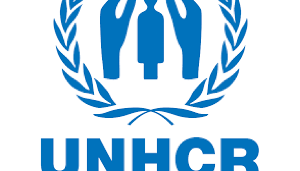 Consultant- Capacity Assessment of the National Systems for Child Protection and Gender-Based Violence Vacancy-Job Ref: JKUGUNHCR/2204/202371