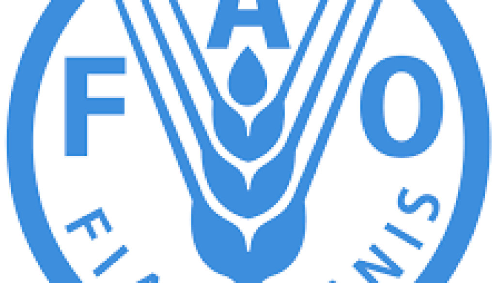 Procurement Specialist Vacancy-Job Ref: JKUGFAO/1408/202383